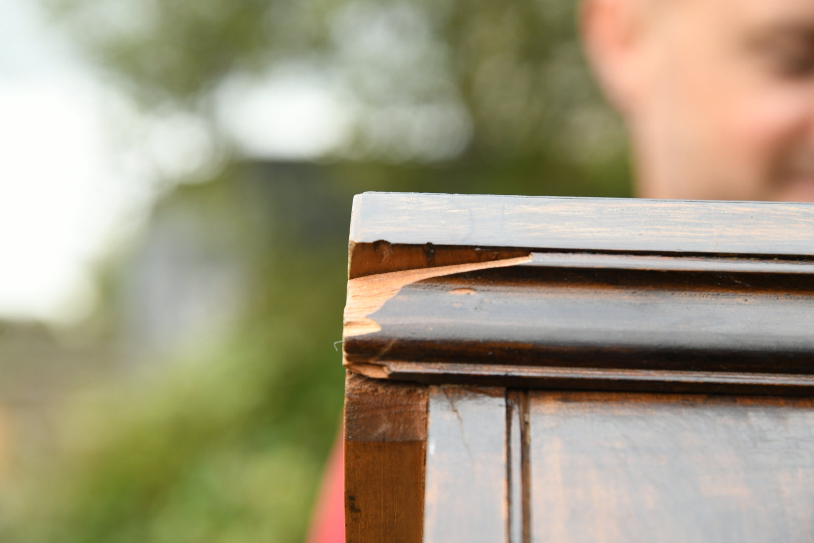 Pair Stained Beech Chest of Drawers