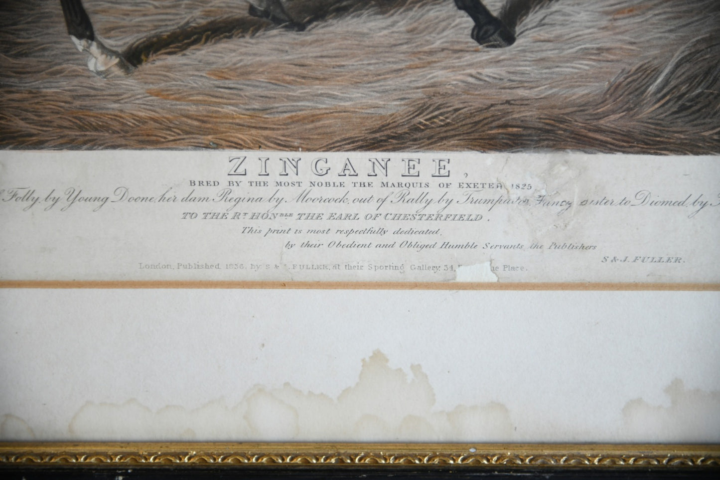 Antique Racehorse Zinganee Print