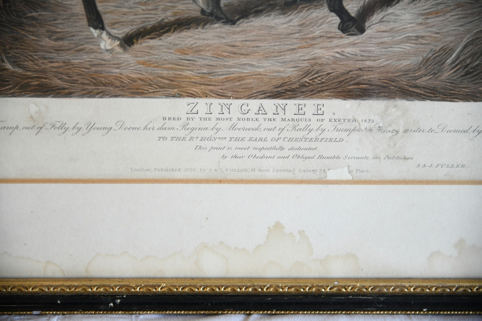 Antique Racehorse Zinganee Print