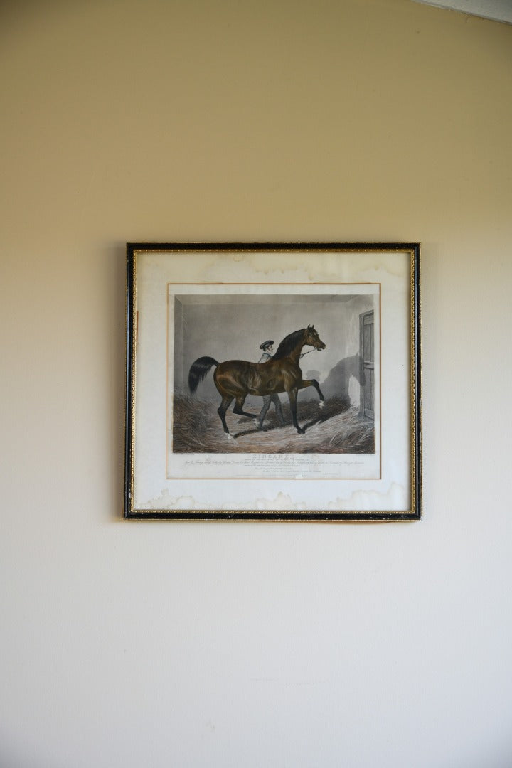 Antique Racehorse Zinganee Print