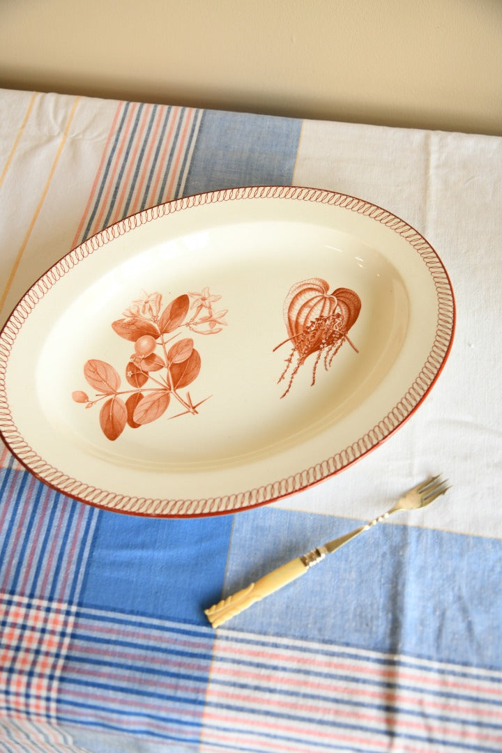 Wedgwood Oval Plate