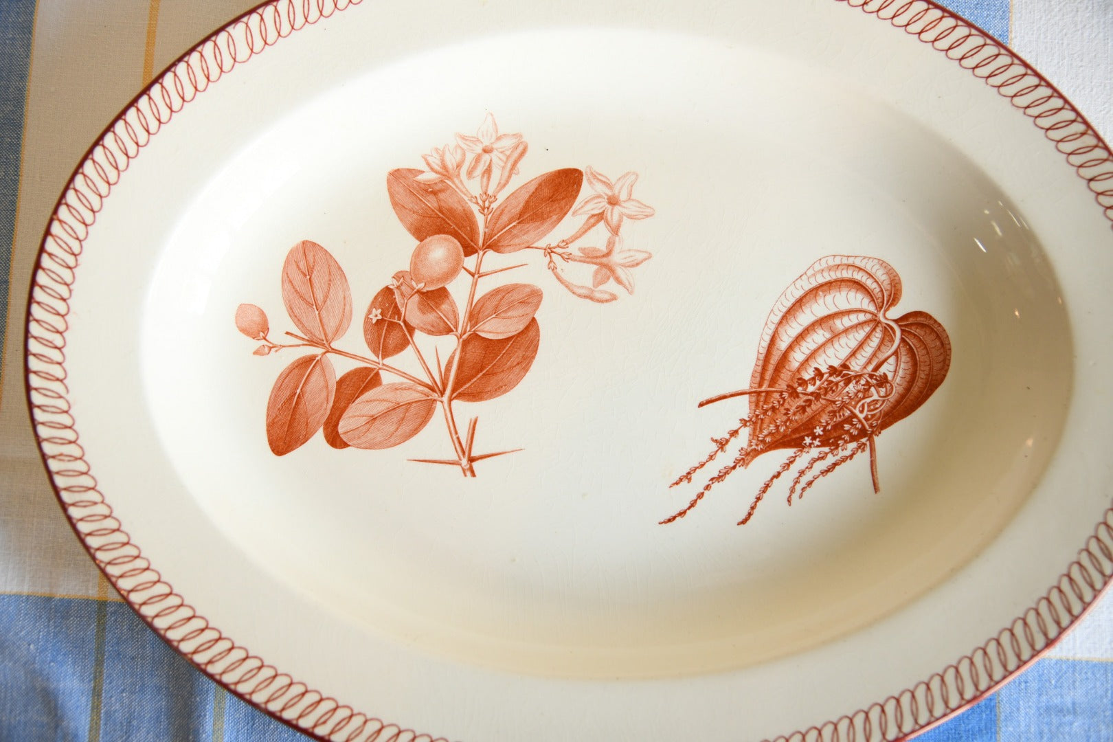 Wedgwood Oval Plate