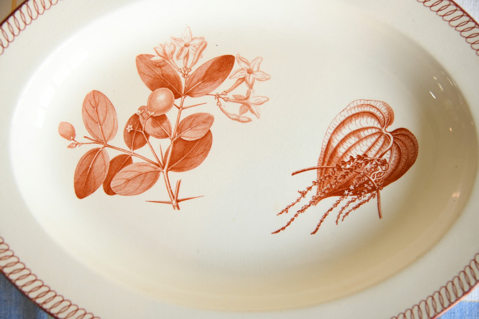 Wedgwood Oval Plate