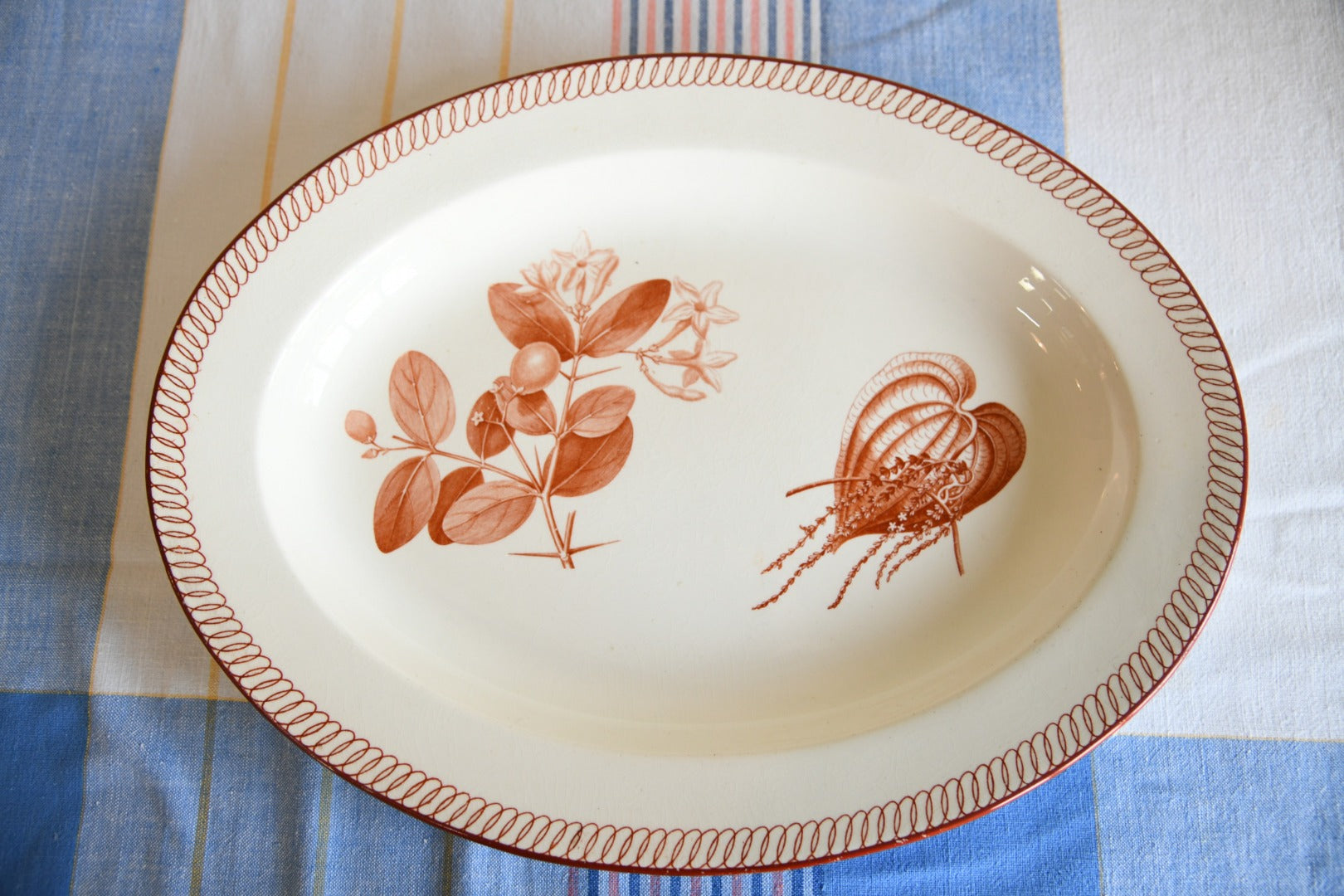 Wedgwood Oval Plate