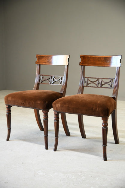 Pair Regency Mahogany Dining Chairs