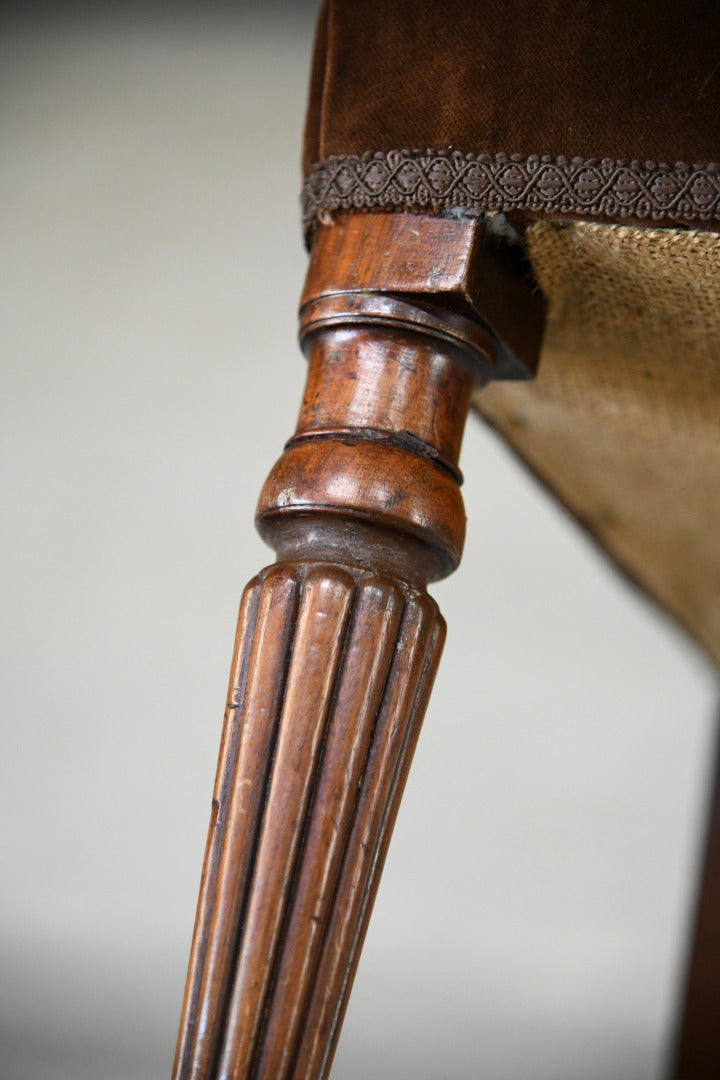 Pair Regency Mahogany Dining Chairs