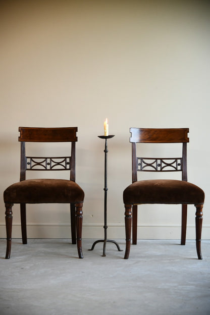 Pair Regency Mahogany Dining Chairs