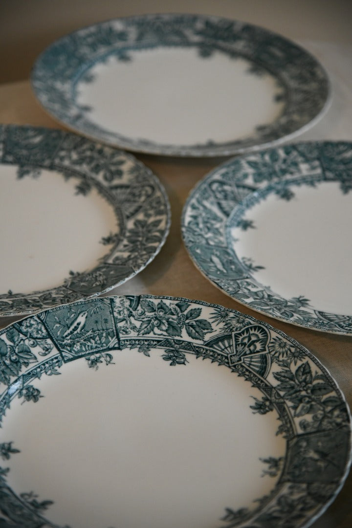 6 x Wallis Gimson Alexandria Dinner Plates