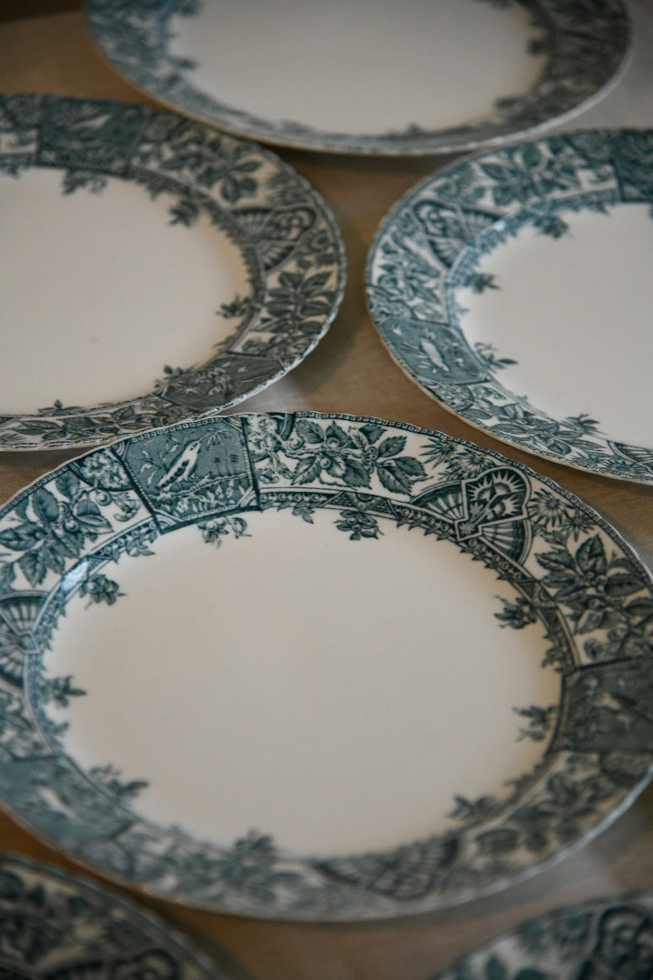 6 x Wallis Gimson Alexandria Dinner Plates