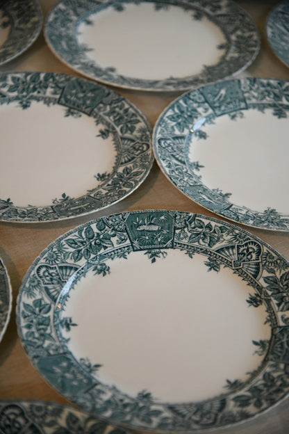 6 x Wallis Gimson Alexandria Dinner Plates