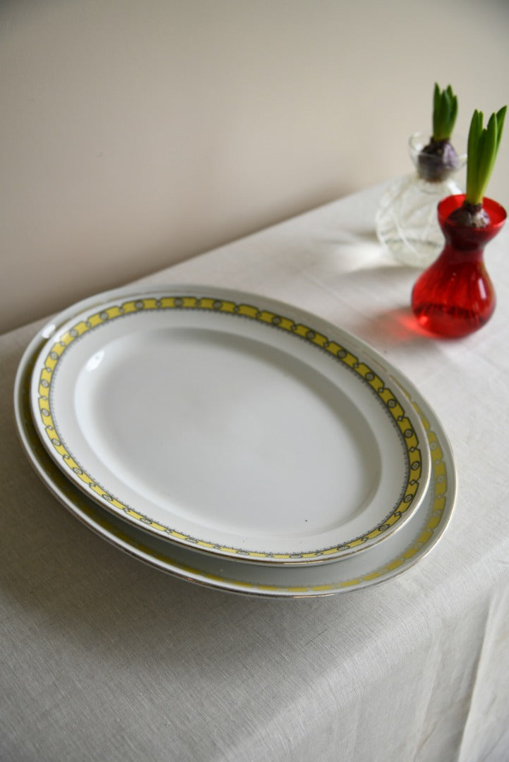 Pair Oval Serving Plates