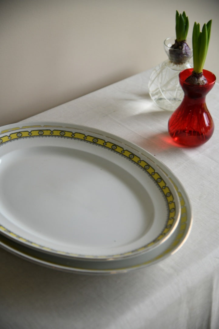 Pair Oval Serving Plates