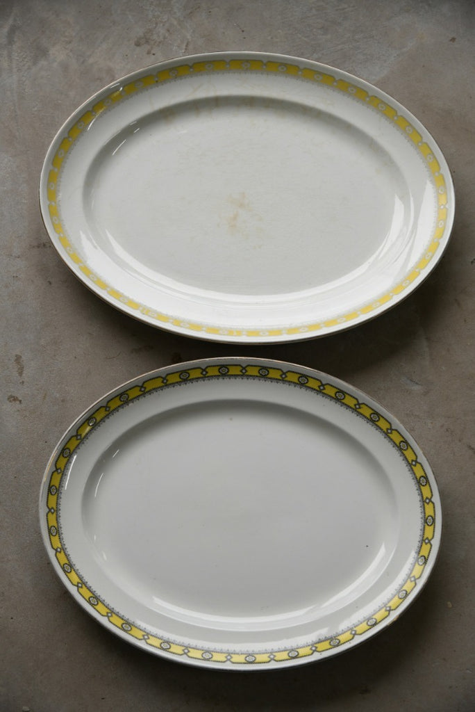 Pair Oval Serving Plates