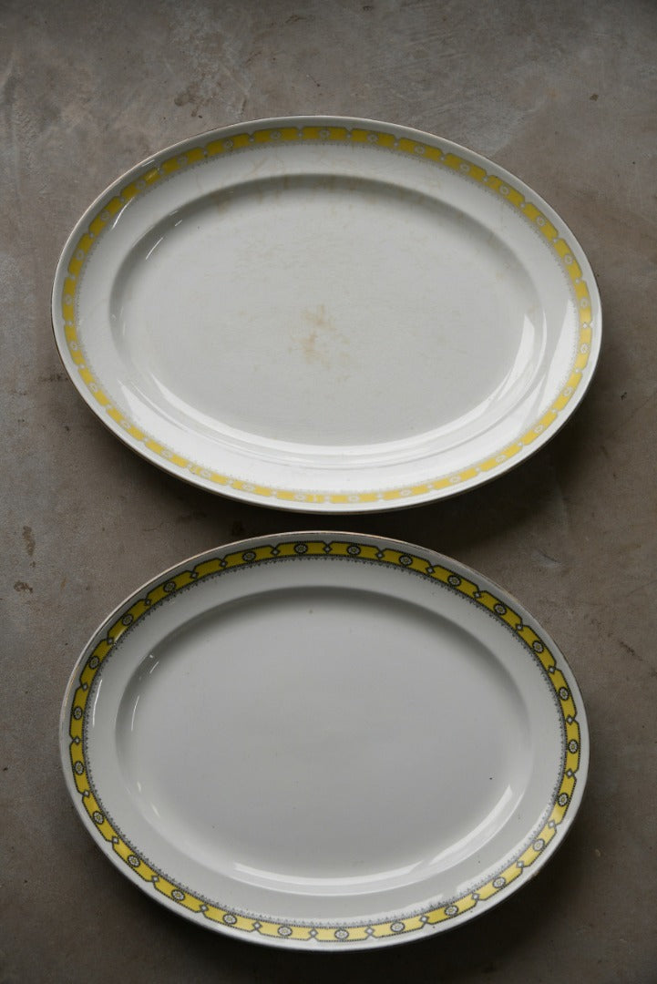 Pair Oval Serving Plates