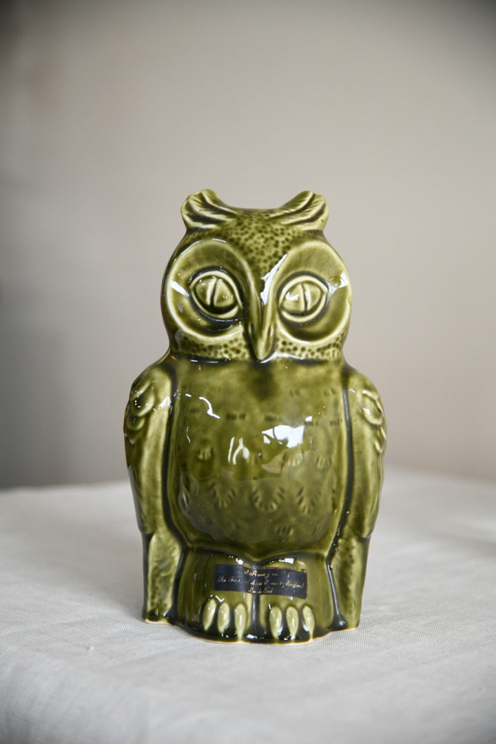 Dartmouth Pottery Owl Moneybox