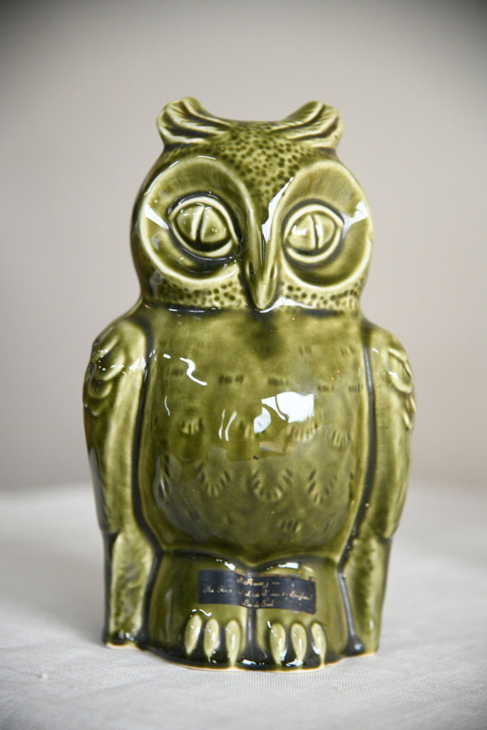 Dartmouth Pottery Owl Moneybox
