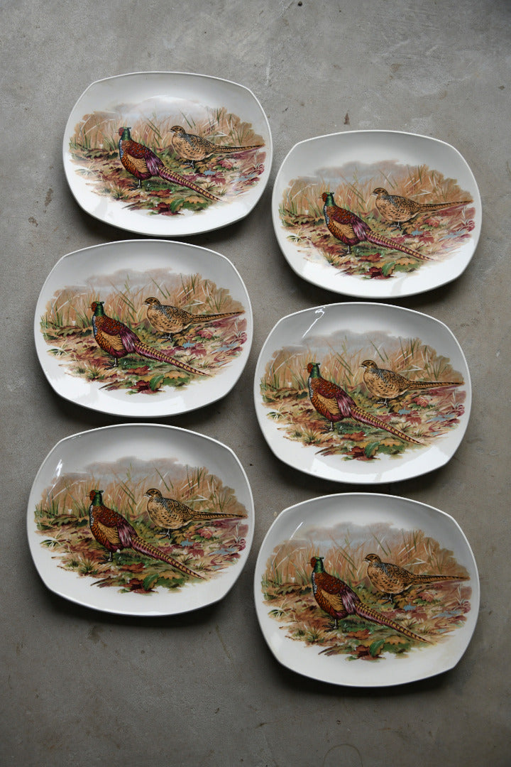 6 x Retro Harry Hancock Pheasant Plates