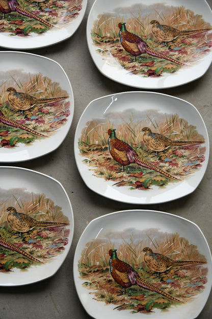 6 x Retro Harry Hancock Pheasant Plates