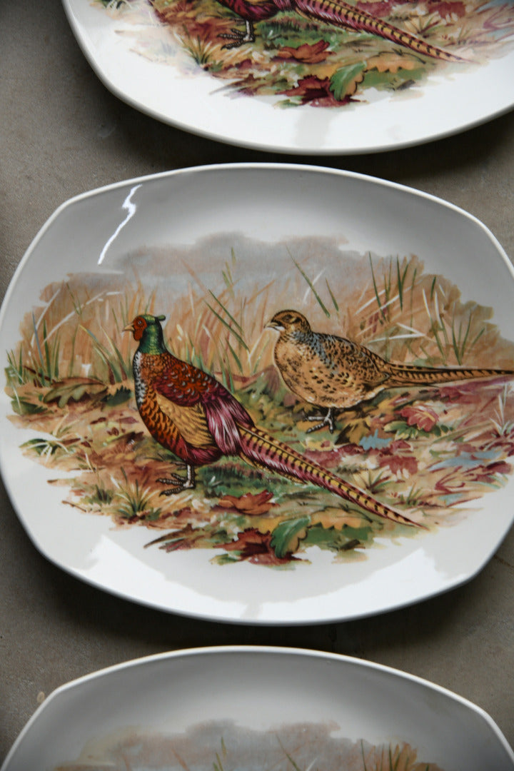 6 x Retro Harry Hancock Pheasant Plates