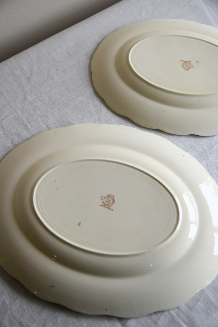 Pair Alfred Meakin Marigold Plates