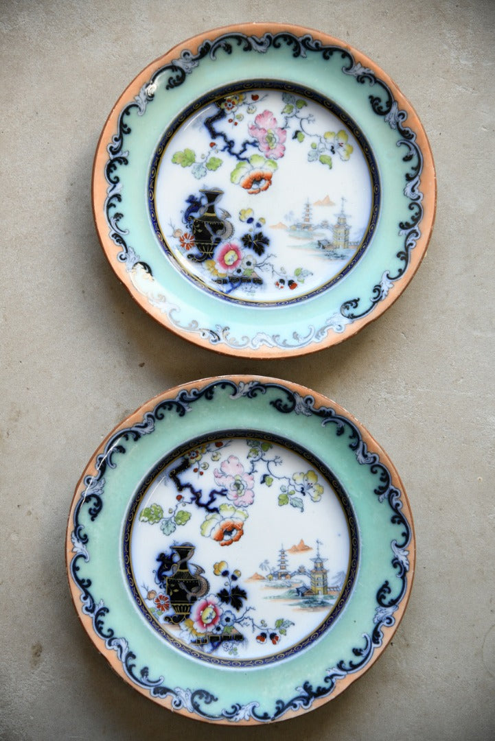 Pair Ironstone Plates