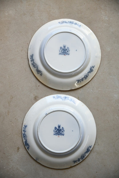 Pair Ironstone Plates