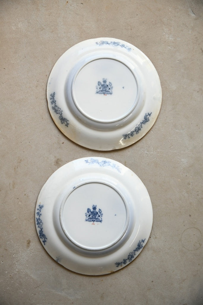 Pair Ironstone Plates