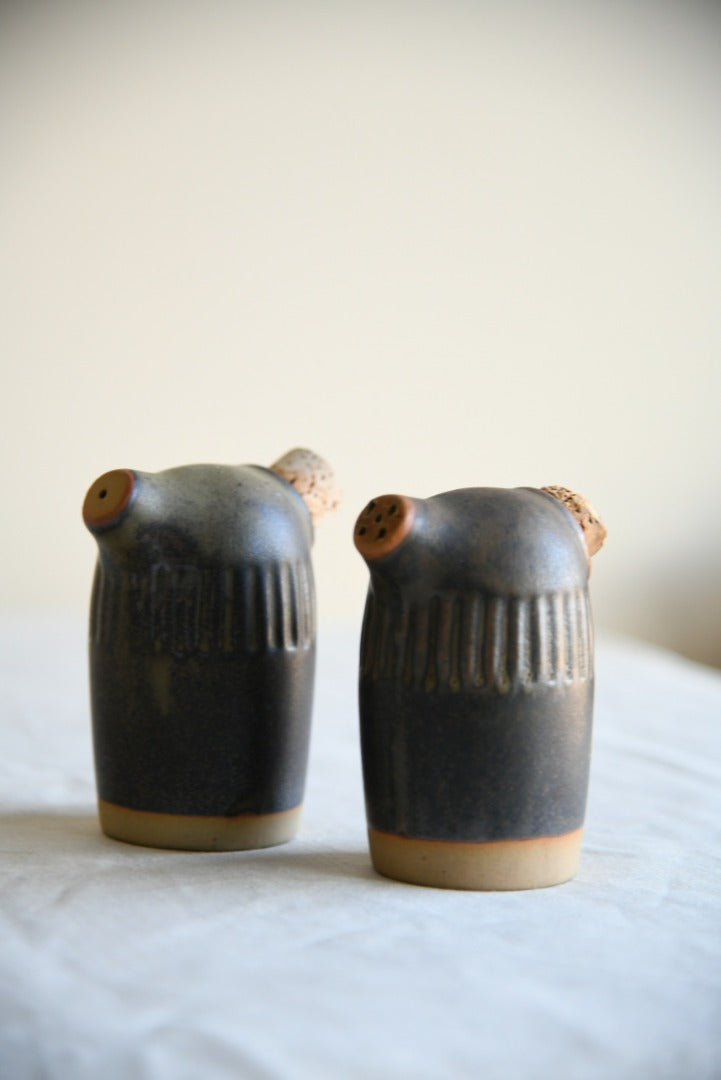 Studio Pottery Salt and Pepper Pots