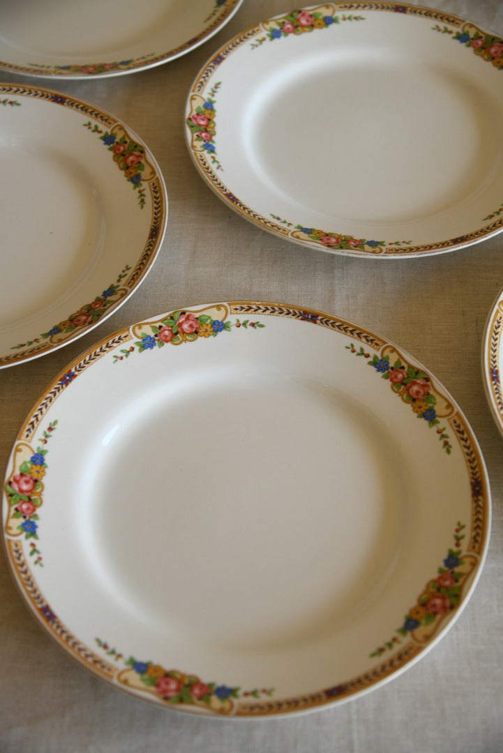 6 Floral Vintage Dinner Plates