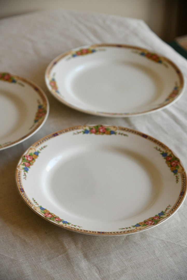 6 Floral Vintage Dinner Plates