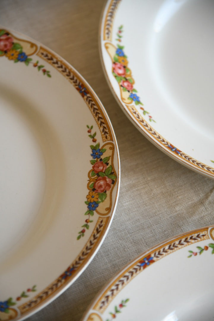 6 Floral Vintage Dinner Plates