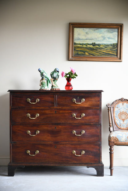 Georgian Mahogany Chest of Drawers