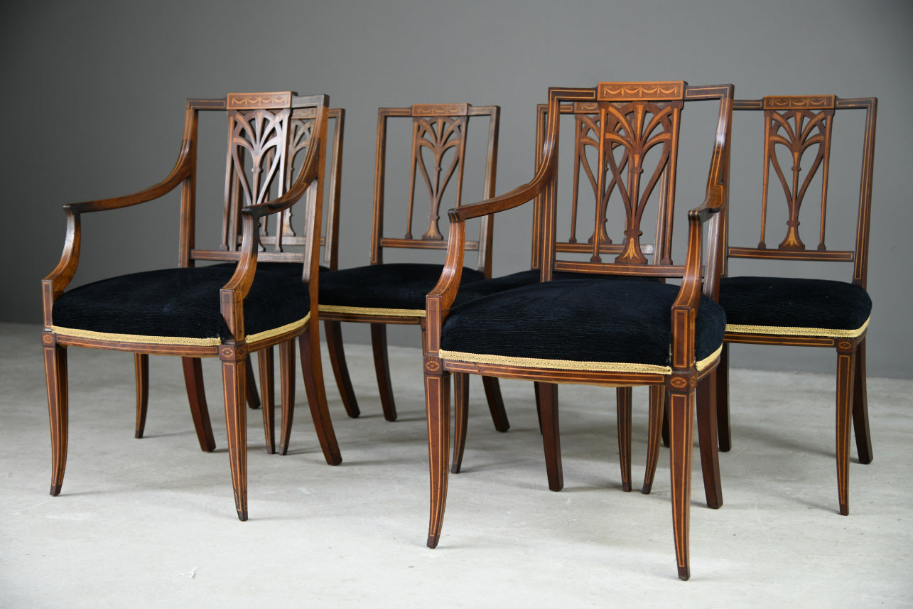 6 Edwardian Dining Chairs