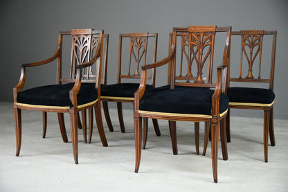 6 Edwardian Dining Chairs