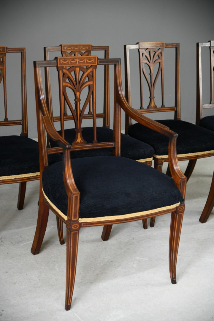 6 Edwardian Dining Chairs