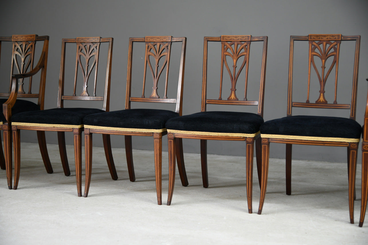 6 Edwardian Dining Chairs