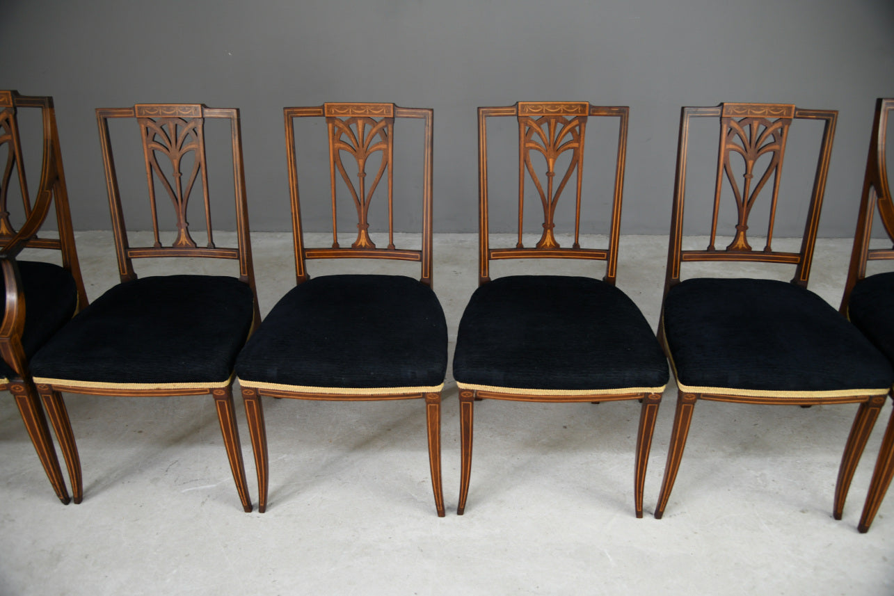 6 Edwardian Dining Chairs