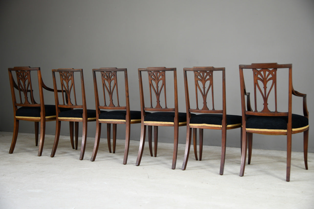 6 Edwardian Dining Chairs