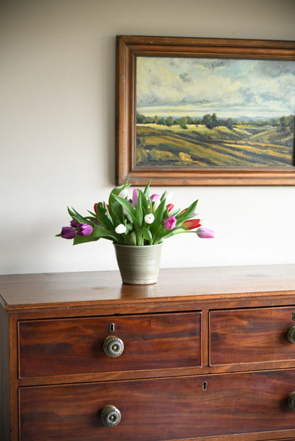 Mid 19th Century Mahogany Chest of Drawers