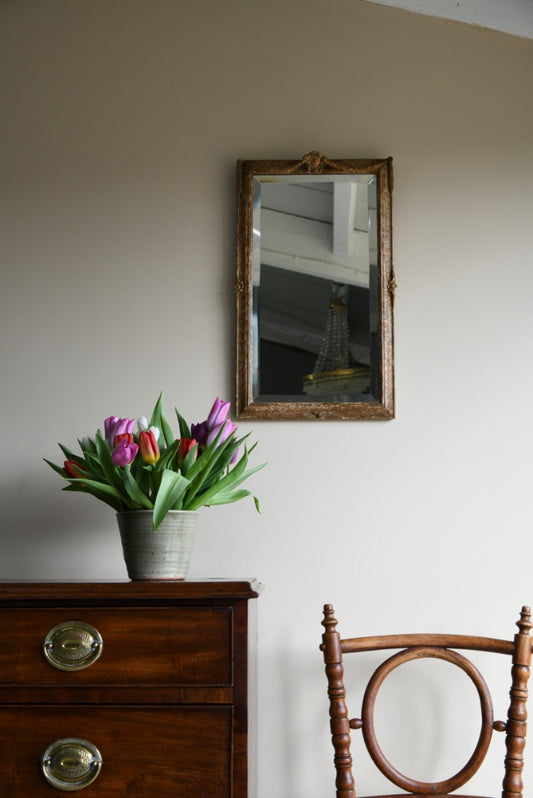Vintage Gilt Mirror