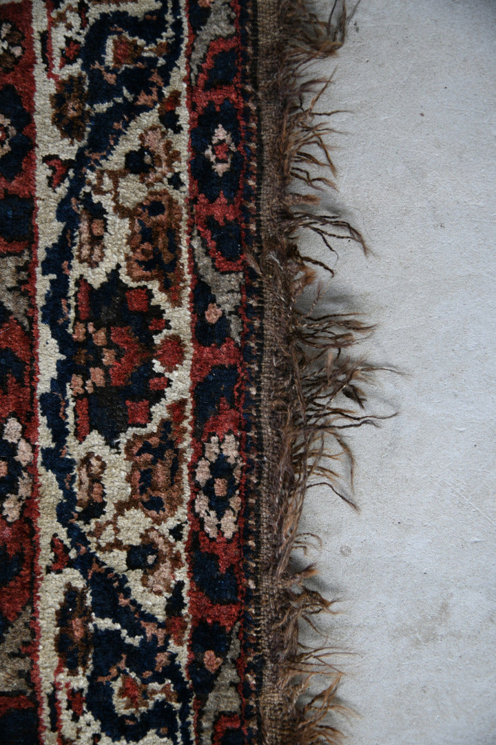 Persian Ghashghi Rug