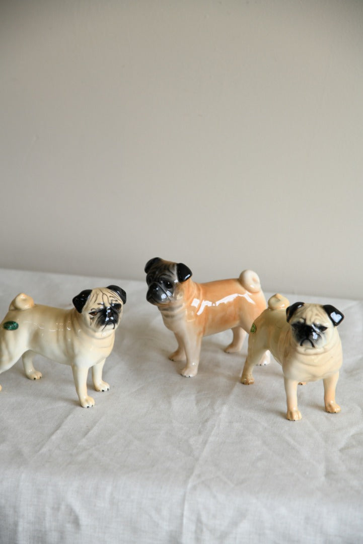 Beswick Pugs