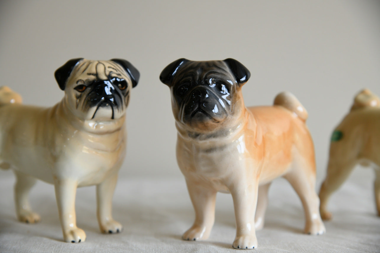 Beswick Pugs