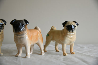 Beswick Pugs