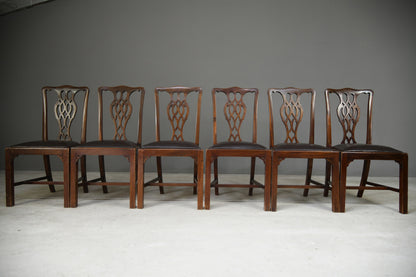 8 Jas Shoolbred Chippendale Style Dining Chairs