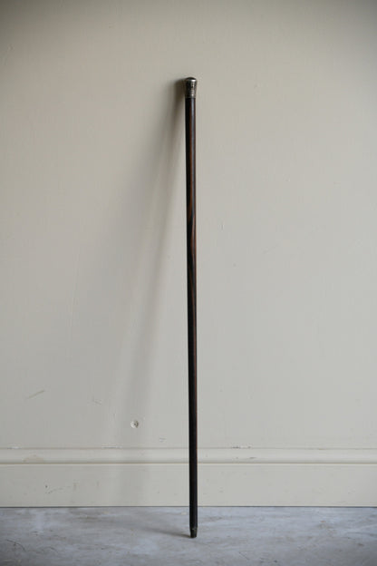 Coromandel Walking Cane