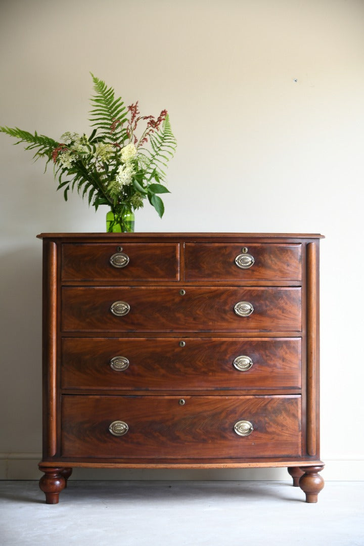 Antique Mahogany Bow Front Chest of Drawers