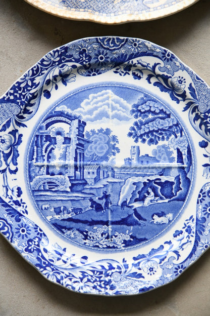 Copeland Spode & Woodsware Plates