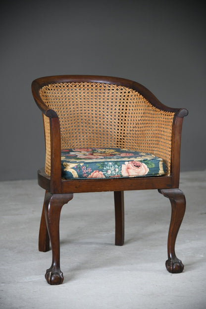 Mahogany Bergere Chair