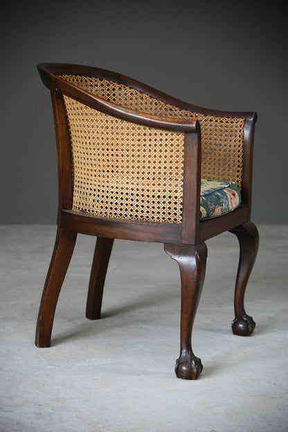 Mahogany Bergere Chair